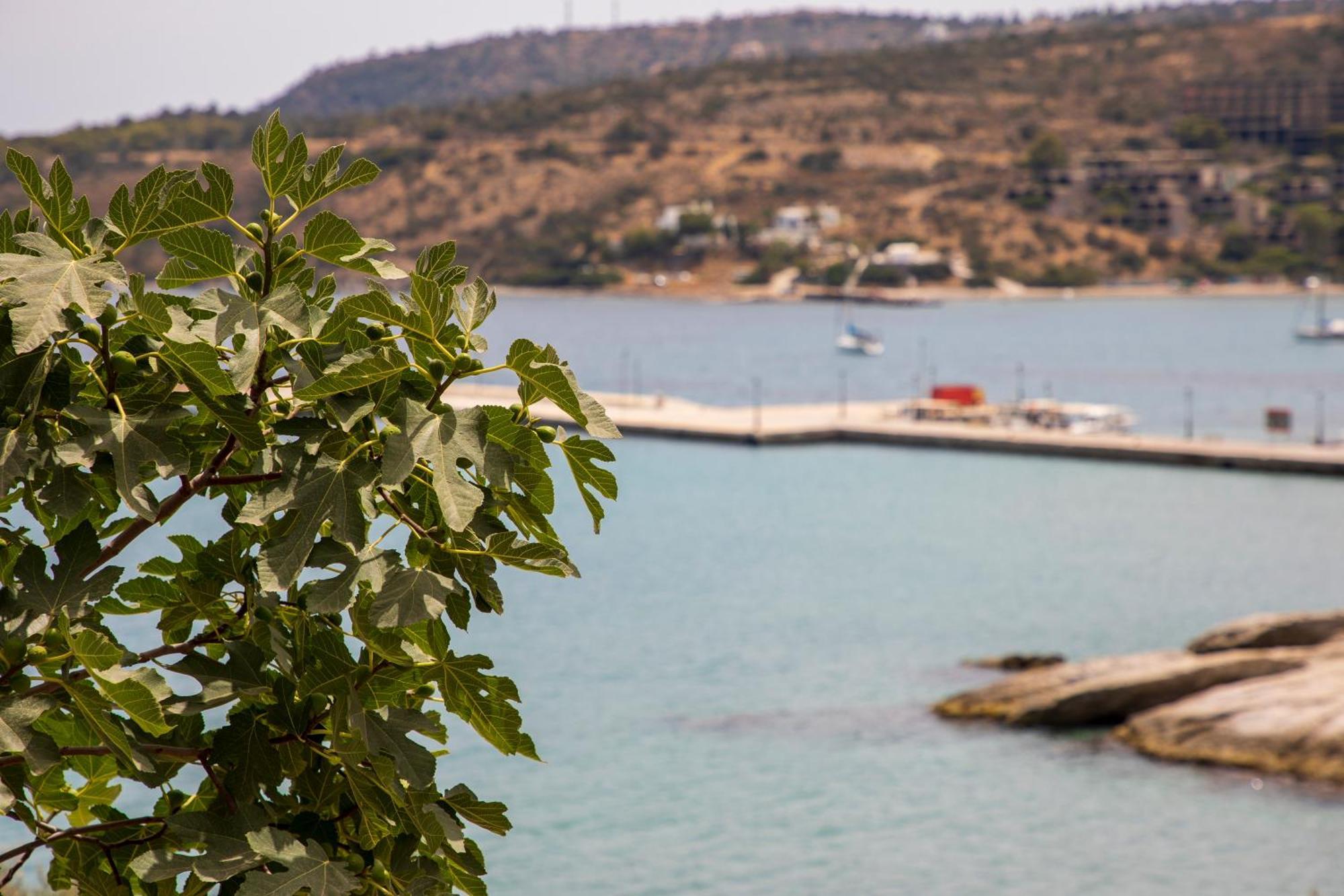 Sea La Vie Villa Agia Marina  Exteriör bild